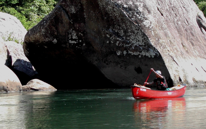 north carolina gap year program